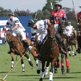 Polo, Commercial Wedding Photographers: Photoscience.co.uk